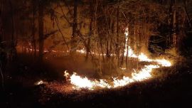 El voraz incendio ya arrasó con 80 hectáreas.