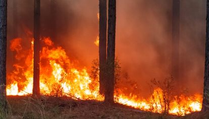 incendio forestal en Entre Ríos