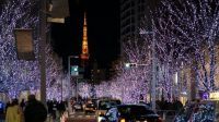 Así celebran los japoneses la Navidad