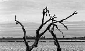 columna Melicchio 20211223