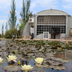 Saldungaray es un pueblo tranquilo, con rastros de la obra de Salamone y emprendimientos muy interesantes.