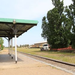 Saldungaray es un pueblo tranquilo, con rastros de la obra de Salamone y emprendimientos muy interesantes.