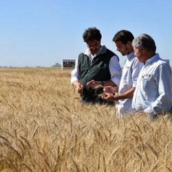 Agro: aumenta la confianza de los productores rurales