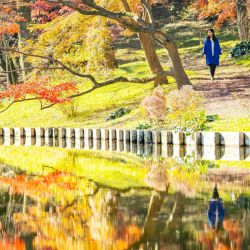 Esta foto tomada y facilitada por la Agencia de la Casa Imperial de Japón muestra a la princesa Kako de Japón, sobrina del emperador Naruhito e hija menor del príncipe heredero Akishino, paseando por el jardín de la residencia de la propiedad imperial de Akasaka en Tokio. | Foto:HANDOUT / Agencia de la Casa Imperial / AFP