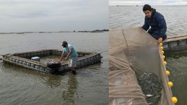 El proyecto se enmarca en la denominada “acuicultura ecológica