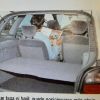 Renault Scénic