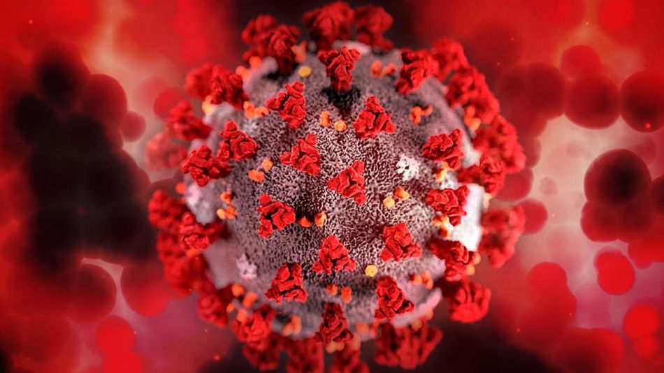 Covid-19 Coronavirus 20220103