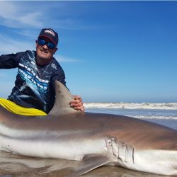 La pesca de tiburones en la provincia de Buenos Ares se hace exclusivamente con devolución.