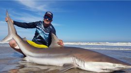 La pesca de tiburones en la provincia de Buenos Ares se hace exclusivamente con devolución.