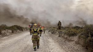Incendios en Puerto Madryn 20220105