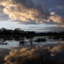 El sol se pone sobre un campo inundado tras las fuertes lluvias en Lavau-sur-Loire, en el oeste de Francia. | Foto:AFP