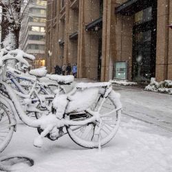 Un peatón pasa junto a bicicletas cubiertas de nieve en Tokio.  | Foto:AFP