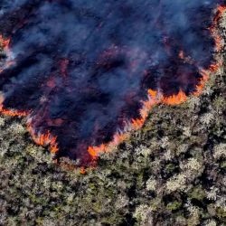 Muestra una vista aérea de la lava expulsada por el volcán Wolf después de que entró en erupción por segunda vez en siete años, en la isla Isabela en las Islas Galápagos en el Océano Pacífico costa ecuatoriana.PARQUE NACIONAL GALAPAGOS / AFP | Foto:AFP