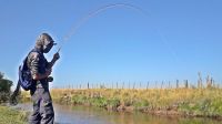 Aumentan un 300 % las licencias de pesca en Buenos Aires
