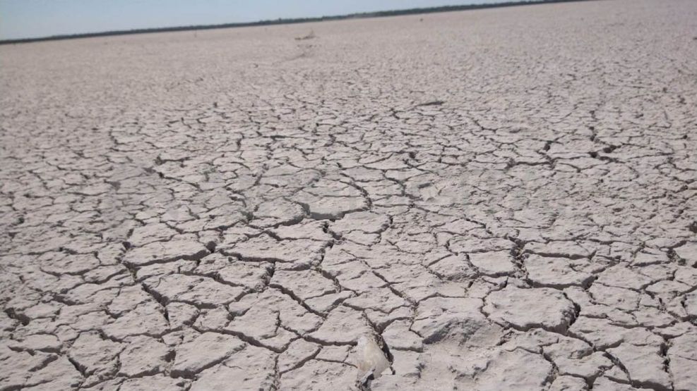 Laguna Paiva 20221101