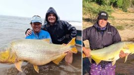 Tras casi 3 años de trabajo y estudio, ya se llevan marcados más de 4.000 peces.