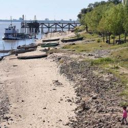 La bajante afectó la fauna íctica al dejar seco el valle de inundación (donde los peces se refugian, alimentan, reproducen y crecen).