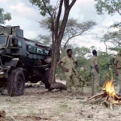 Miembros de Koevoet, la unidad de contrainsurgencia de la Policía de África del Suroeste, acampan para pasar la noche en el este de Ovamboland. | Foto:TREVOR SAMSON / AFP