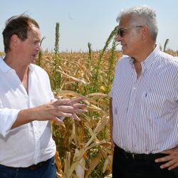 Julián Domínguez recorrió los campos afectados por las sequía