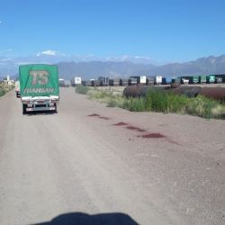 Transportistas alertan que hay más de 1.300 camiones varados en la frontera con Chile.