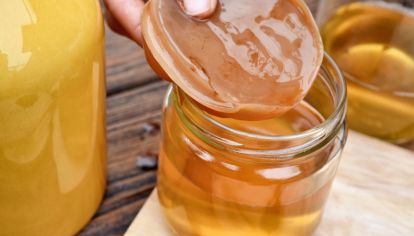 ¿Qué es la kombucha y cuáles son sus propiedades?
