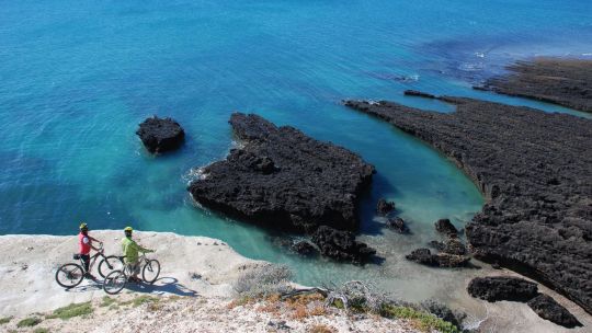 Siete imperdibles de Puerto Madryn