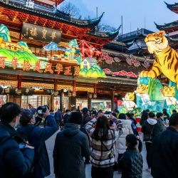 Esta foto muestra a la gente observando una linterna de tigre en un espectáculo de linternas en el Jardín Yuyuan en Shanghai, antes del Año Nuevo Lunar. | Foto:AFP