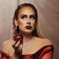 Adele se quebró al revelar un importante anuncio y les pidió perdón a sus fans 