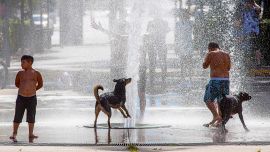 Ola de calor enero 2022.
