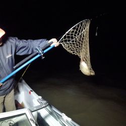 La pesca nocturna requiere el uso de muchos elementos más que los que habitualmente se emplean en una jornada diurna.