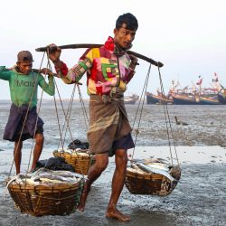 Esta foto muestra a pescadores rohingya cargando su pesca en una playa del campamento de Thal Chaung, en el estado de Rakhine, Myanmar. | Foto:AFP