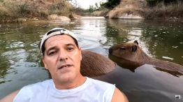 Frank Cuesta llamó a otros streamers para que apadrinen a los animales de su santuario
