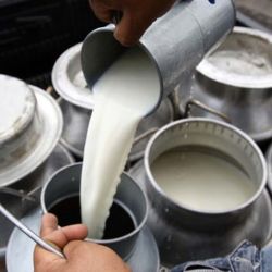 Crecieron las exportaciones de lácteos del país durante 2021.