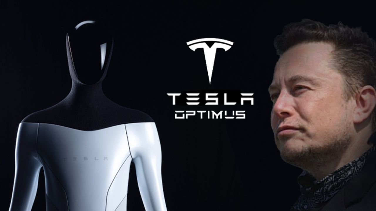 Tesla Optimus: Elon Musk dijo que el robot humanoide será más importante  que el negocio de autos | Perfil