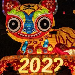 Año Nuevo Chino 2022: ¿cómo recibir el año del Tigre de Agua? 