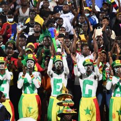 Los seguidores de Senegal celebran después de que su equipo ganara el partido de fútbol de cuartos de final de la Copa Africana de Naciones 2022 entre Senegal y Guinea Ecuatorial en el Stade Ahmadou Ahidjo en Yaoundé. | Foto:CHARLY TRIBALLEAU / AFP