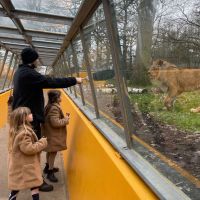 Wanda Nara, Mauro Icardi y sus hijas se fueron de safari en medio de la crisis