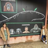 Wanda Nara, Mauro Icardi y sus hijas se fueron de safari en medio de la crisis