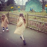 Wanda Nara, Mauro Icardi y sus hijas se fueron de safari en medio de la crisis