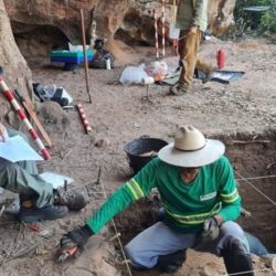 El yacimiento fue descubierto en una antigua plantación de caña de azúcar ubicada en el municipio de Montes Claros de Goiás.