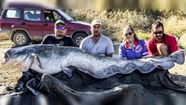 La batalla por atraparlo duró más de media hora.