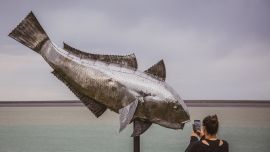 La Ruta 40 y la Ruta Azul le ponen ritmo al verano en Santa Cruz.