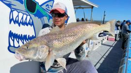 A mediados de noviembre comienzan a aparecer las corvinas rubias y los tiburones.