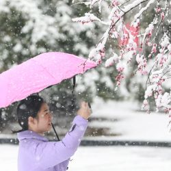 Una mujer toma fotos durante una nevada en Hangzhou, en la provincia oriental china de Zhejiang. | Foto:AFP