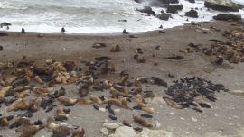 Es una de las principales loberías del mundo entero.