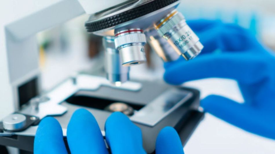 Coronavirus: porqué algunos se contagian y otros no, y en esto cuánto influye la genética