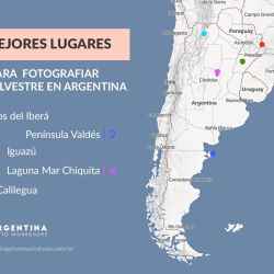 Los cinco destinos argentinos para fotografiar naturaleza.