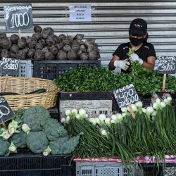 Una vendedora ordena su mercancía en un puesto de verduras en el mercado La Vega Central, en Santiago, capital de Chile. | Foto:Xinhua/Jorge Villegas