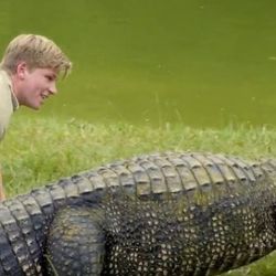 Todo sucedió cuando Robert se acercó al cocodrilo para comprobar si estaba cómodo y darle de comer.