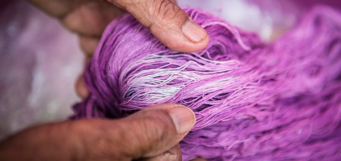 Tradición textil: 2.500 usd el gramo de fibra teñida con caracoles